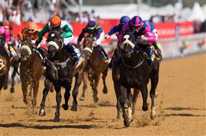 Fairview Tips on May 17th - Best Bets and Predictions