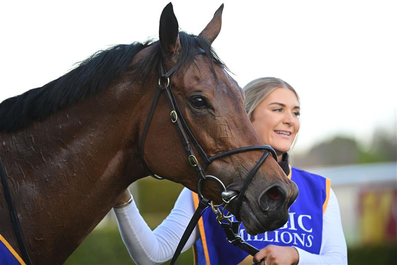 MELBOURNE, AUSTRALIA - AUGUST 27: Snapdancer after winning Race 8, the Magic Millions Memsie Stakes,  during Melbourne Racing at Caulfield Racecourse on August 27, 2022 in Melbourne, Australia. (Photo by Vince Caligiuri/Getty Images)