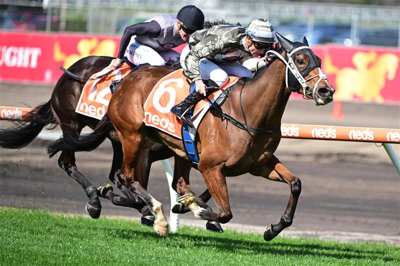 MELBOURNE, AUSTRALIA - AUGUST 27: Blake Shinn riding Spanish Tides winning Race 1, the Neds Punters Toolbox Handicap, during Melbourne Racing at Caulfield Racecourse on August 27, 2022 in Melbourne, Australia. (Photo by Vince Caligiuri/Getty Images)