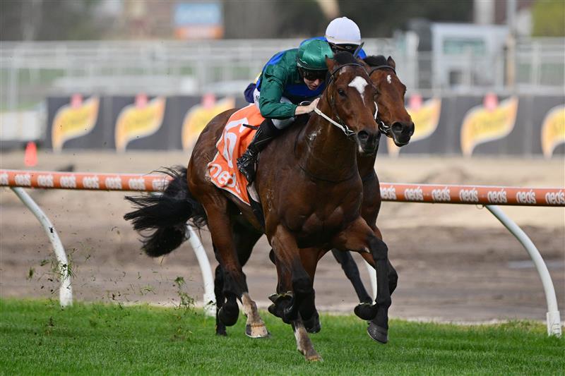 MELBOURNE, AUSTRALIA - AUGUST 27: Damian Lane riding Jacquinot winning Race 5, the H.d.f. Mcneil Stakes, during Melbourne Racing at Caulfield Racecourse on August 27, 2022 in Melbourne, Australia. (Photo by Vince Caligiuri/Getty Images)