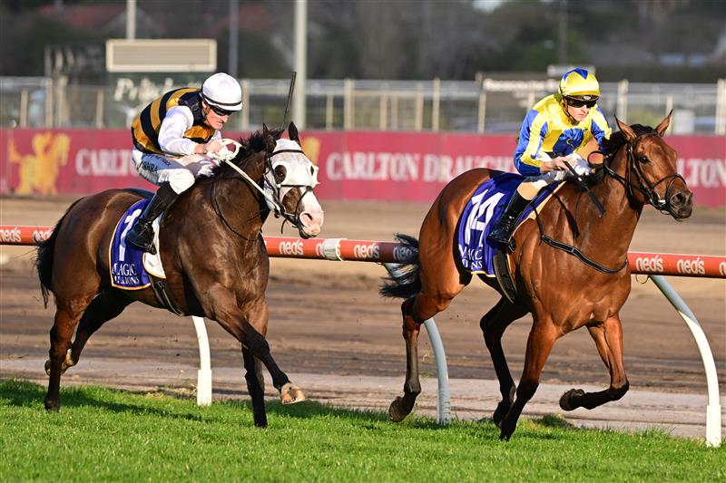 MELBOURNE, AUSTRALIA - AUGUST 27: Ethan Brown riding Snapdancer defeats Mark Zahra riding I'm Thunderstruck in Race 8, the Magic Millions Memsie Stakes,  during Melbourne Racing at Caulfield Racecourse on August 27, 2022 in Melbourne, Australia. (Photo by Vince Caligiuri/Getty Images)