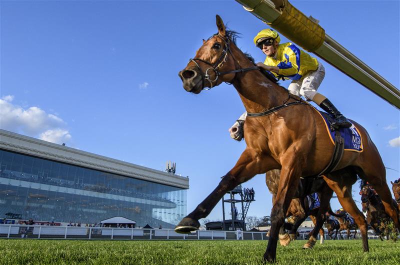MELBOURNE, AUSTRALIA - AUGUST 27: Ethan Brown riding Snapdancer defeats Mark Zahra riding I'm Thunderstruck in Race 8, the Magic Millions Memsie Stakes,  during Melbourne Racing at Caulfield Racecourse on August 27, 2022 in Melbourne, Australia. (Photo by Vince Caligiuri/Getty Images)