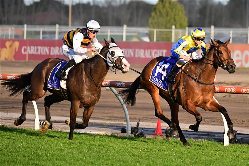 MELBOURNE, AUSTRALIA - AUGUST 27: Ethan Brown riding Snapdancer defeats Mark Zahra riding I'm Thunderstruck in Race 8, the Magic Millions Memsie Stakes,  during Melbourne Racing at Caulfield Racecourse on August 27, 2022 in Melbourne, Australia. (Photo by Vince Caligiuri/Getty Images)