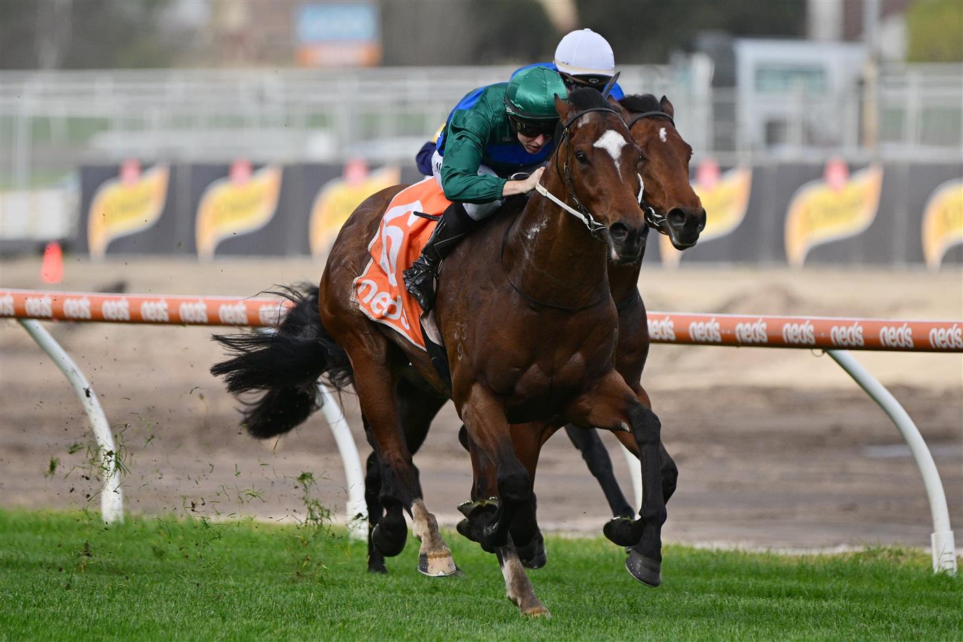 MELBOURNE, AUSTRALIA - AUGUST 27: Damian Lane riding Jacquinot winning Race 5, the H.d.f. Mcneil Stakes, during Melbourne Racing at Caulfield Racecourse on August 27, 2022 in Melbourne, Australia. (Photo by Vince Caligiuri/Getty Images)