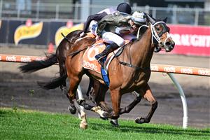 MELBOURNE, AUSTRALIA - AUGUST 27: Blake Shinn riding Spanish Tides winning Race 1, the Neds Punters Toolbox Handicap, during Melbourne Racing at Caulfield Racecourse on August 27, 2022 in Melbourne, Australia. (Photo by Vince Caligiuri/Getty Images)