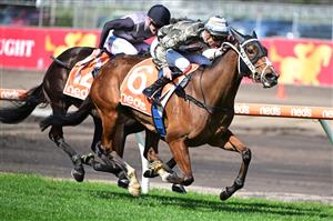 MELBOURNE, AUSTRALIA - AUGUST 27: Blake Shinn riding Spanish Tides winning Race 1, the Neds Punters Toolbox Handicap, during Melbourne Racing at Caulfield Racecourse on August 27, 2022 in Melbourne, Australia. (Photo by Vince Caligiuri/Getty Images)