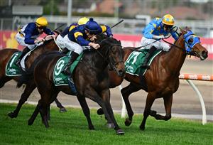 MELBOURNE, AUSTRALIA - AUGUST 27: Blake Shinn riding Munhamek (L) winning Race 3, the Evergreen Turf Handicap, during Melbourne Racing at Caulfield Racecourse on August 27, 2022 in Melbourne, Australia. (Photo by Vince Caligiuri/Getty Images)