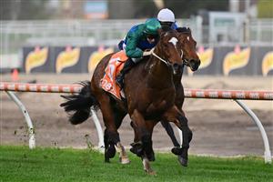 MELBOURNE, AUSTRALIA - AUGUST 27: Damian Lane riding Jacquinot winning Race 5, the H.d.f. Mcneil Stakes, during Melbourne Racing at Caulfield Racecourse on August 27, 2022 in Melbourne, Australia. (Photo by Vince Caligiuri/Getty Images)