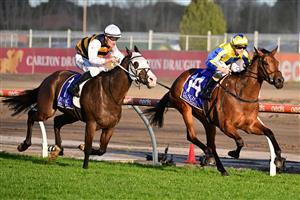 MELBOURNE, AUSTRALIA - AUGUST 27: Ethan Brown riding Snapdancer defeats Mark Zahra riding I'm Thunderstruck in Race 8, the Magic Millions Memsie Stakes, during Melbourne Racing at Caulfield Racecourse on August 27, 2022 in Melbourne, Australia. (Photo by Vince Caligiuri/Getty Images)