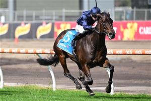 MELBOURNE, AUSTRALIA - AUGUST 27: Jake Noonan riding Lady of Honour winning Race 2, the Stow Storage Solutions Handicap, during Melbourne Racing at Caulfield Racecourse on August 27, 2022 in Melbourne, Australia. (Photo by Vince Caligiuri/Getty Images)