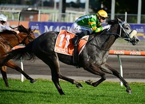 MELBOURNE, AUSTRALIA - AUGUST 27: Jamie Kah riding Chain Of Lightning winning Race 7, the W.w. Cockram Stakes, during Melbourne Racing at Caulfield Racecourse on August 27, 2022 in Melbourne, Australia. (Photo by Vince Caligiuri/Getty Images)