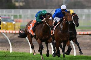 MELBOURNE, AUSTRALIA - AUGUST 27: Damian Lane riding Jacquinot (L) defeating Jamie Kah riding Aft Cabin in Race 5, the H.d.f. Mcneil Stakes, during Melbourne Racing at Caulfield Racecourse on August 27, 2022 in Melbourne, Australia. (Photo by Vince Caligiuri/Getty Images)