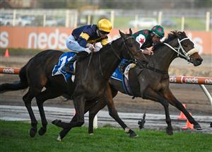 MELBOURNE, AUSTRALIA - AUGUST 27: Jye McNeil riding Emissary winning Race 9, the Tile Importer Heatherlie Stakes, during Melbourne Racing at Caulfield Racecourse on August 27, 2022 in Melbourne, Australia. (Photo by Vince Caligiuri/Getty Images)