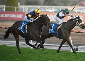MELBOURNE, AUSTRALIA - AUGUST 27: Jye McNeil riding Emissary winning Race 9, the Tile Importer Heatherlie Stakes, during Melbourne Racing at Caulfield Racecourse on August 27, 2022 in Melbourne, Australia. (Photo by Vince Caligiuri/Getty Images)