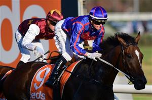 Sir Rupert Clarke Stakes Betting Odds - Ayrton holds favouritism