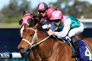 Golden Rose Stakes Tips & Runner-by-Runner Preview
