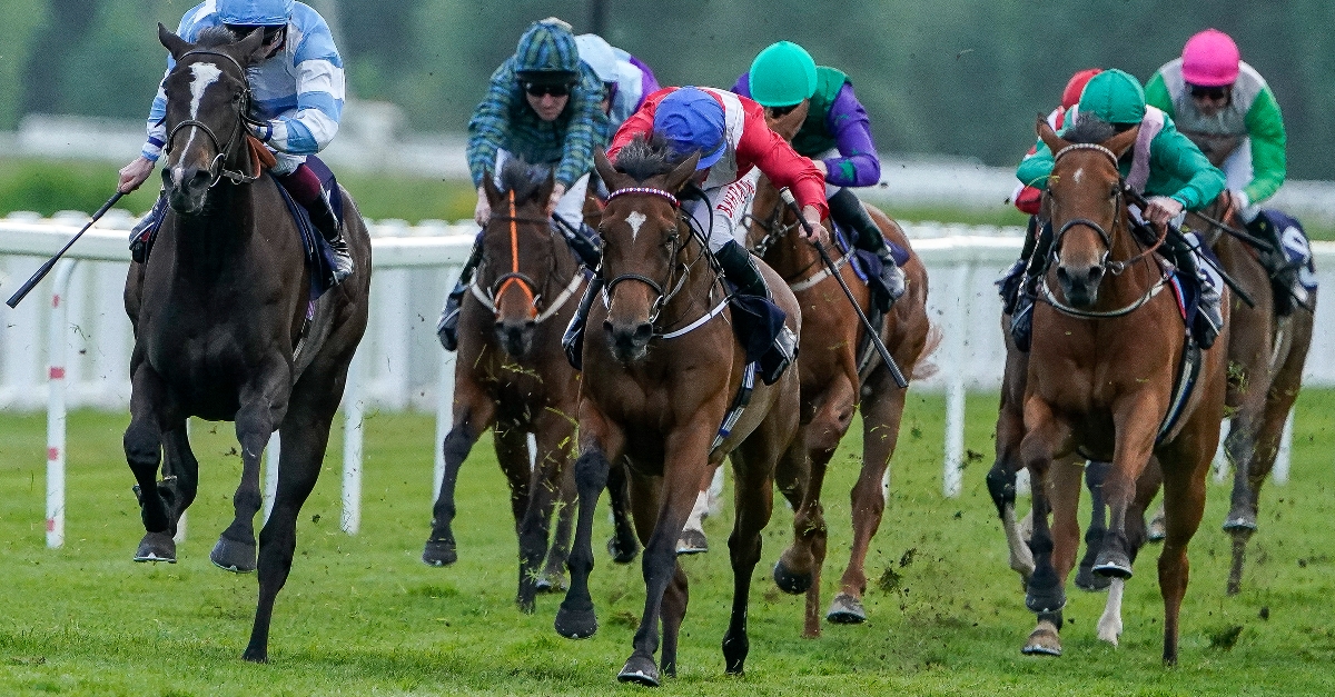 Racing League Night One Get The Edge With Harry Wilsons Class Drop Insight - q8tifpe