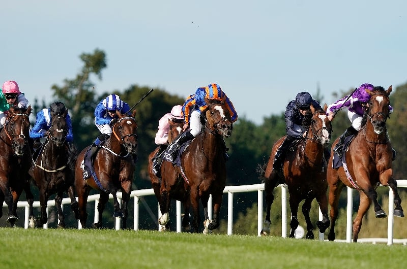 irish champion stakes leopardstown