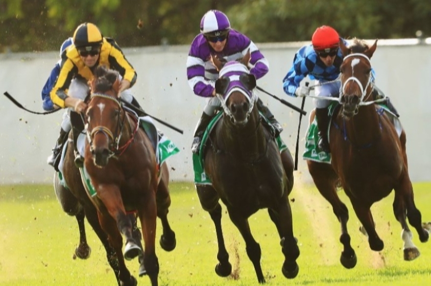 Canterbury Racing Tips, Best Bets & Odds Today's Betting Tips for