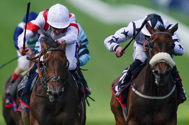 deauville legend