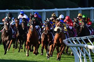 Bendigo Betting Tips
