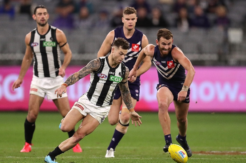 Collingwood vs Fremantle Dockers Tips, Preview & Live Stream