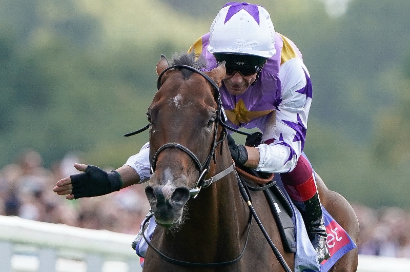 Ascot Market Movers Champions Day October 15