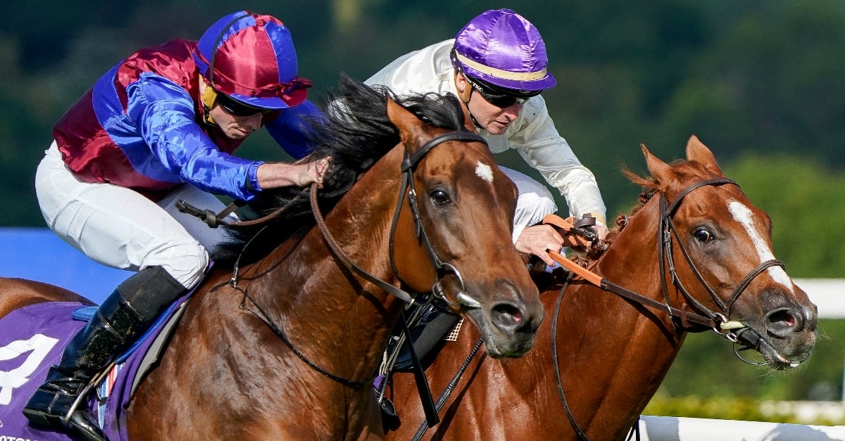 When is the 2023 Irish Champion Stakes