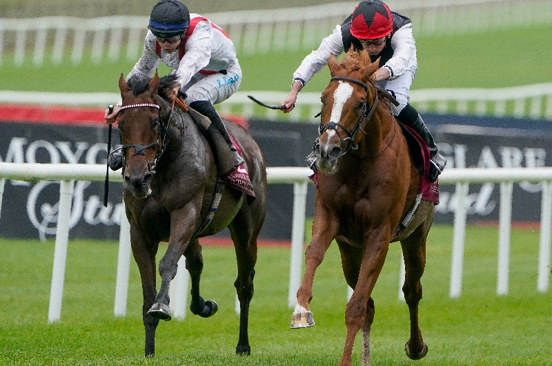 When is the 2023 Irish St Leger?