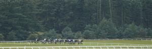 KILDARE, IRELAND - SEPTEMBER 11: A general view as runners race down the back straight during The Moyglare 'Jewels' Blandford Stakes at Curragh Racecourse on September 11, 2022 in Kildare, Ireland. (Photo by Alan Crowhurst/Getty Images)