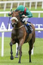 KILDARE, IRELAND - SEPTEMBER 11: Chris Hayes riding Tahiyra (green) win The Moyglare Stud Stakes at Curragh Racecourse on September 11, 2022 in Kildare, Ireland. (Photo by Alan Crowhurst/Getty Images)