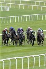 KILDARE, IRELAND - SEPTEMBER 11: Ryan Moore riding Above The Curve (dark blue) win The Moyglare 'Jewels' Blandford Stakes at Curragh Racecourse on September 11, 2022 in Kildare, Ireland. (Photo by Alan Crowhurst/Getty Images)