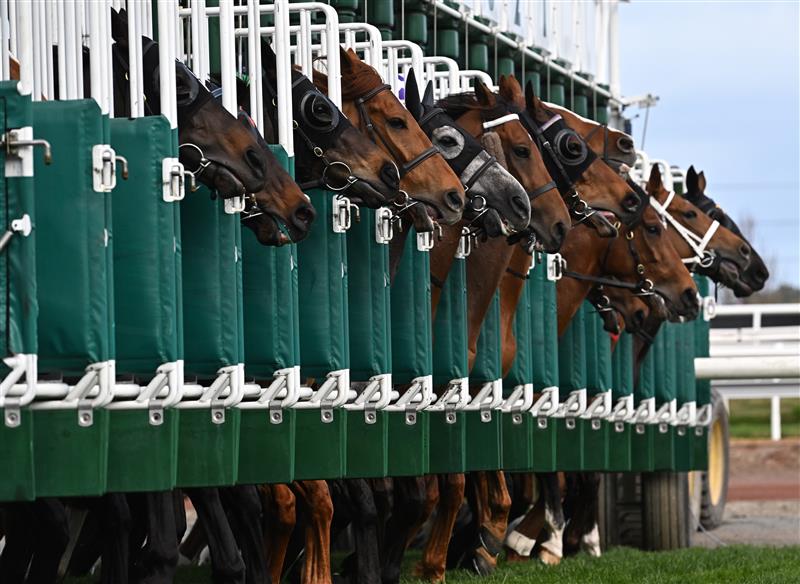 MELBOURNE, AUSTRALIA - SEPTEMBER 10: General view of the barrier start in Race 6, the The Sally Chirnside, during Melbourne Racing at Flemington Racecourse on September 10, 2022 in Melbourne, Australia. (Photo by Vince Caligiuri/Getty Images)