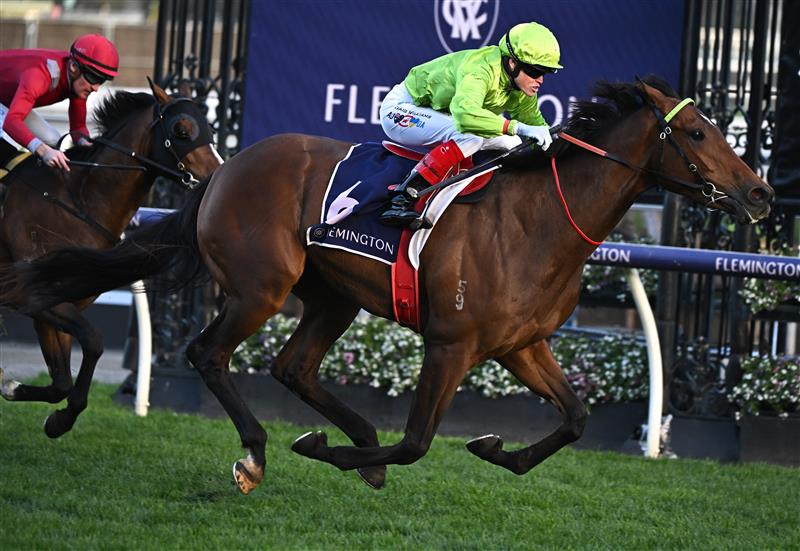 MELBOURNE, AUSTRALIA - SEPTEMBER 10: Craig Williams riding Berkeley Square winning Race 9, the Exford Plate, during Melbourne Racing at Flemington Racecourse on September 10, 2022 in Melbourne, Australia. (Photo by Vince Caligiuri/Getty Images)