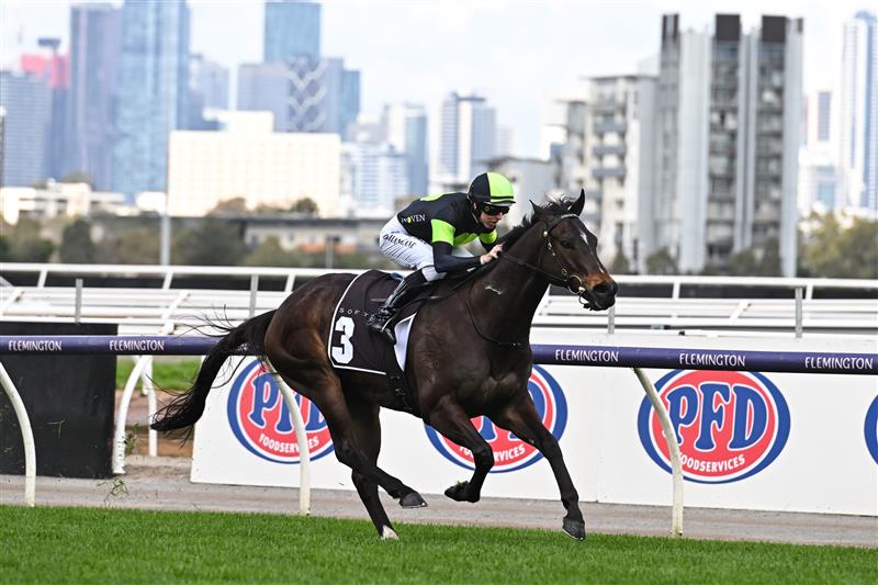 MELBOURNE, AUSTRALIA - SEPTEMBER 10: Damian Lane riding Scallopini winning Race 4, the The Sofitel, during Melbourne Racing at Flemington Racecourse on September 10, 2022 in Melbourne, Australia. (Photo by Vince Caligiuri/Getty Images)