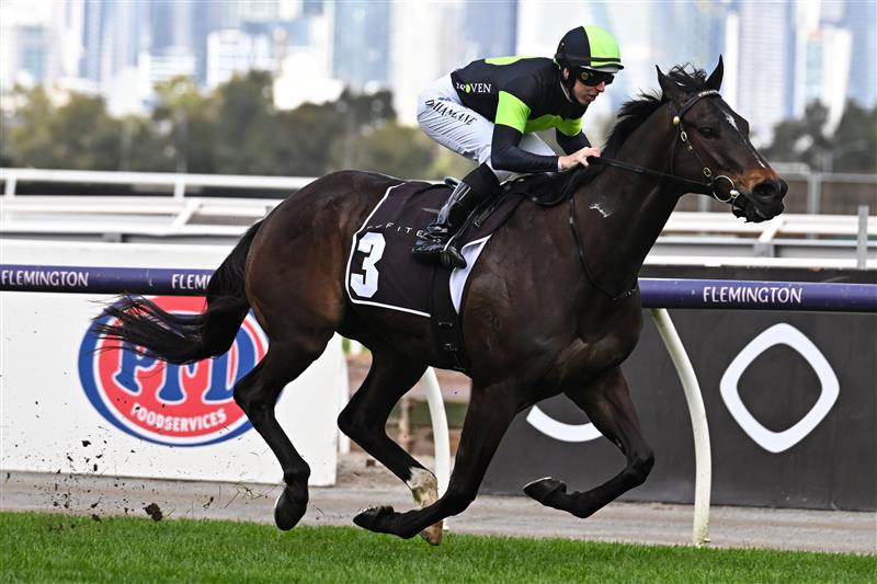 MELBOURNE, AUSTRALIA - SEPTEMBER 10: Damian Lane riding Scallopini winning Race 4, the The Sofitel, during Melbourne Racing at Flemington Racecourse on September 10, 2022 in Melbourne, Australia. (Photo by Vince Caligiuri/Getty Images)