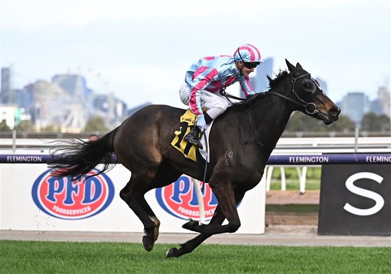 MELBOURNE, AUSTRALIA - SEPTEMBER 10: Harry Coffey riding High Emocean winning Race 6, the The Sally Chirnside,  during Melbourne Racing at Flemington Racecourse on September 10, 2022 in Melbourne, Australia. (Photo by Vince Caligiuri/Getty Images)