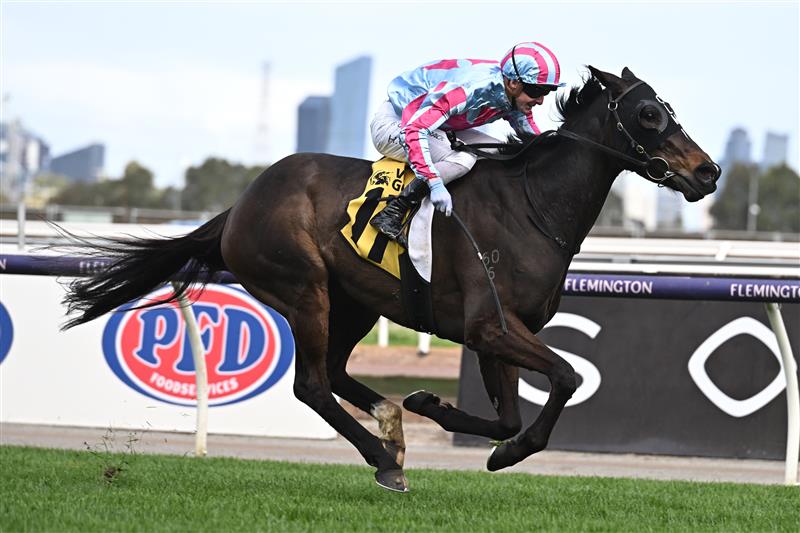 MELBOURNE, AUSTRALIA - SEPTEMBER 10: Harry Coffey riding High Emocean winning Race 6, the The Sally Chirnside,  during Melbourne Racing at Flemington Racecourse on September 10, 2022 in Melbourne, Australia. (Photo by Vince Caligiuri/Getty Images)