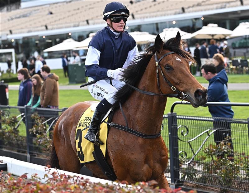 MELBOURNE, AUSTRALIA - SEPTEMBER 10: Jamie Kah riding Point Nepean after unplaced finish in Race 6, the The Sally Chirnside,  during Melbourne Racing at Flemington Racecourse on September 10, 2022 in Melbourne, Australia. (Photo by Vince Caligiuri/Getty Images)