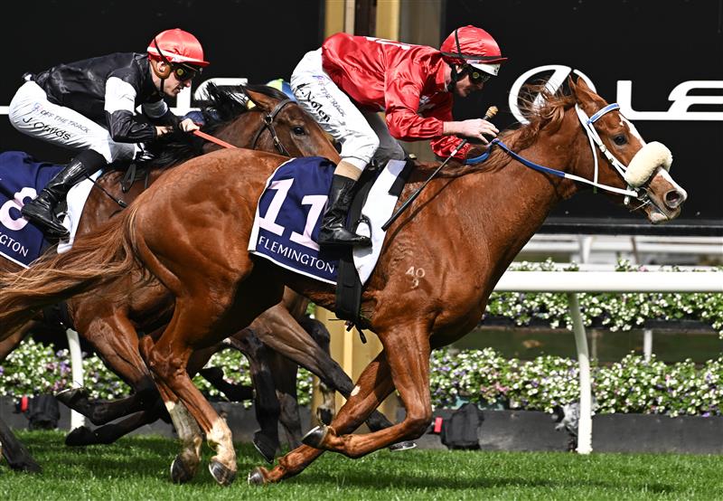 MELBOURNE, AUSTRALIA - SEPTEMBER 10: Luke Nolen riding Nanagui winning Race 3, the Cap D