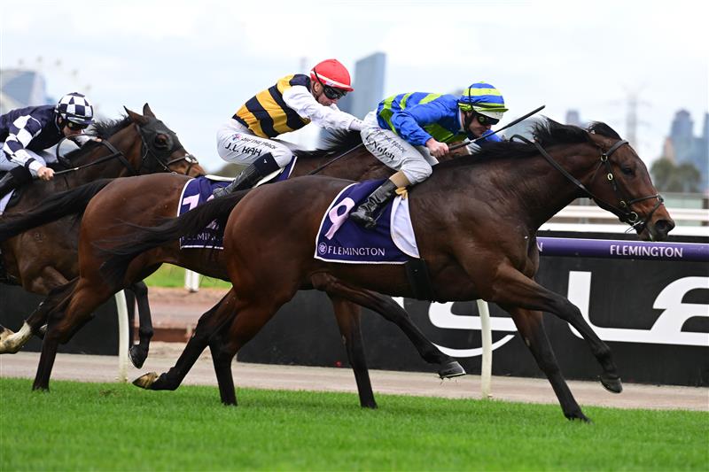 MELBOURNE, AUSTRALIA - SEPTEMBER 10: Luke Nolen riding Makram winning Race 2, the Australian Childhood Foundation Plate, during Melbourne Racing at Flemington Racecourse on September 10, 2022 in Melbourne, Australia. (Photo by Vince Caligiuri/Getty Images)