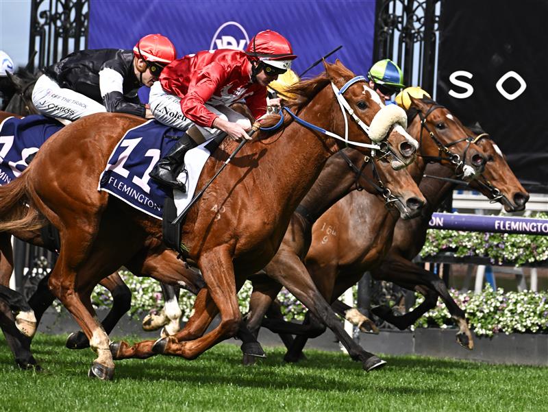 MELBOURNE, AUSTRALIA - SEPTEMBER 10: Luke Nolen riding Nanagui winning Race 3, the Cap D