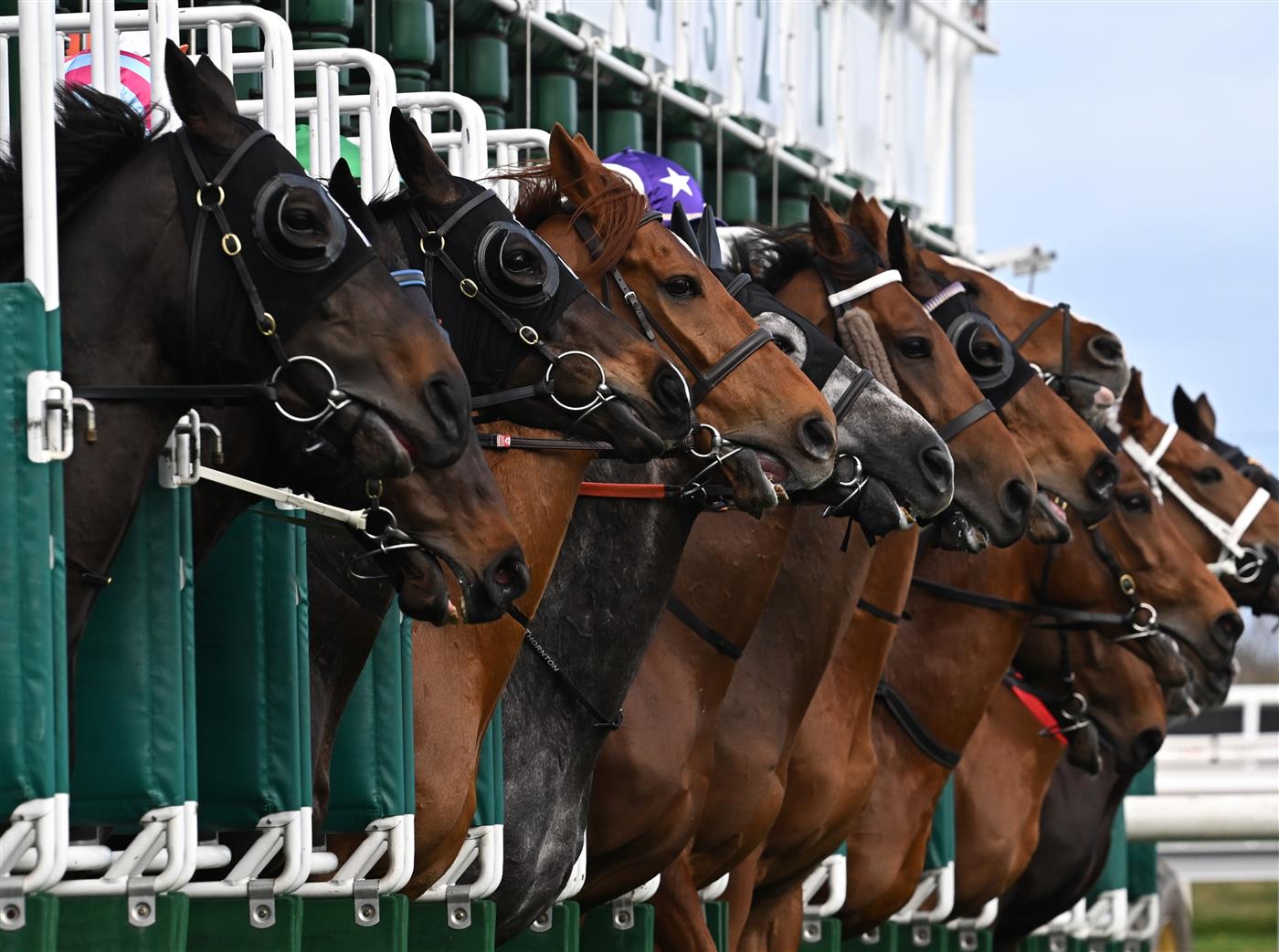 MELBOURNE, AUSTRALIA - SEPTEMBER 10: General view of the barrier start in Race 6, the The Sally Chirnside, during Melbourne Racing at Flemington Racecourse on September 10, 2022 in Melbourne, Australia. (Photo by Vince Caligiuri/Getty Images)