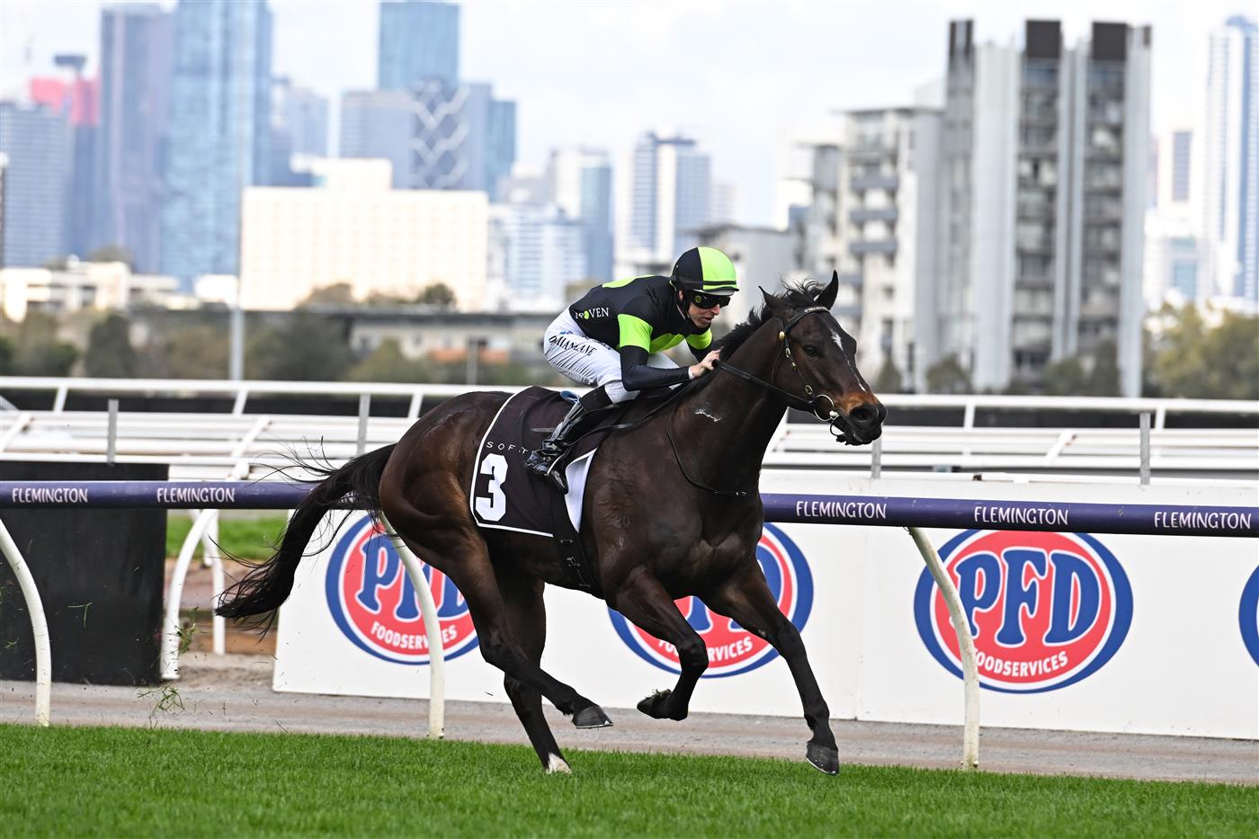 MELBOURNE, AUSTRALIA - SEPTEMBER 10: Damian Lane riding Scallopini winning Race 4, the The Sofitel, during Melbourne Racing at Flemington Racecourse on September 10, 2022 in Melbourne, Australia. (Photo by Vince Caligiuri/Getty Images)