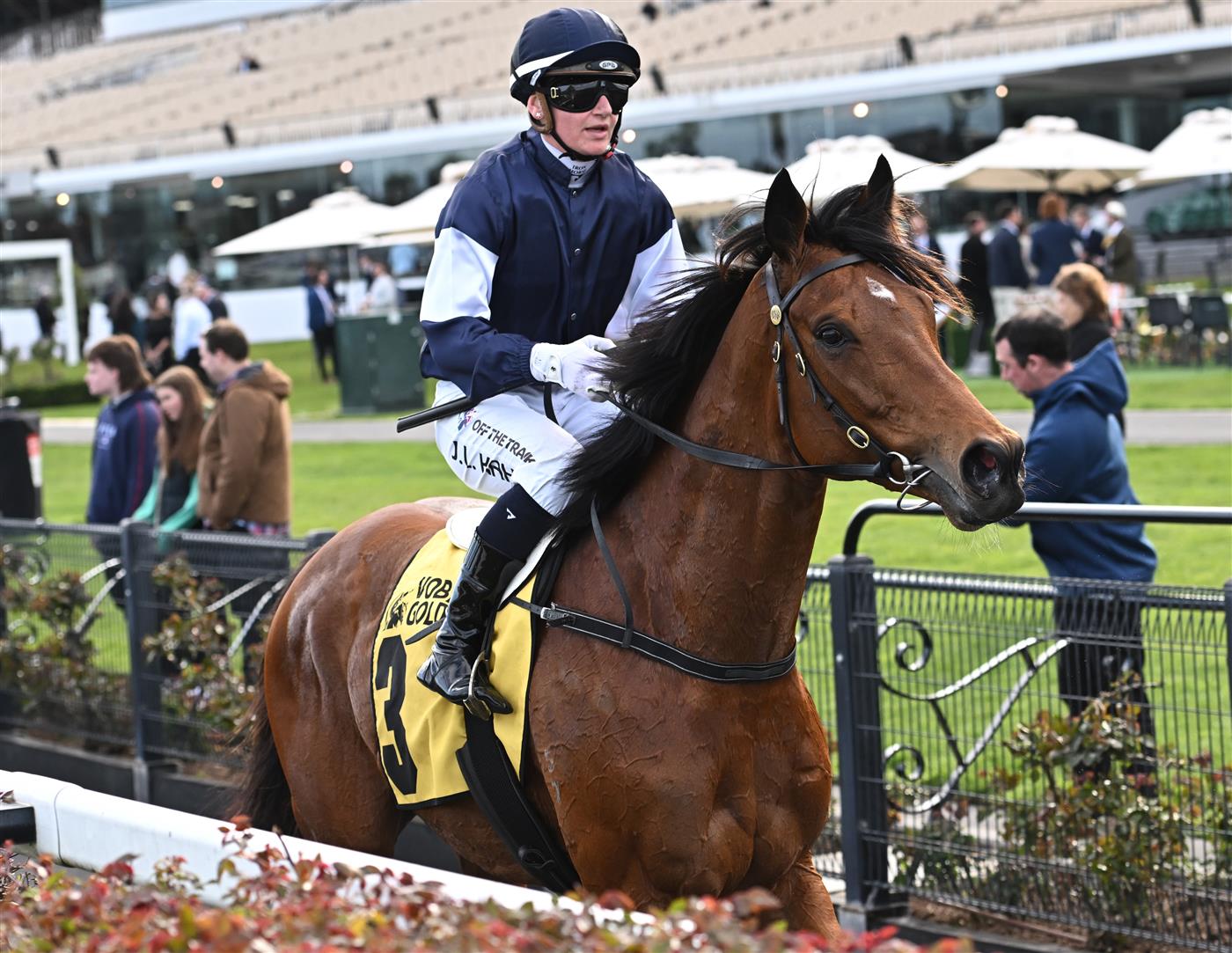 MELBOURNE, AUSTRALIA - SEPTEMBER 10: Jamie Kah riding Point Nepean after unplaced finish in Race 6, the The Sally Chirnside,  during Melbourne Racing at Flemington Racecourse on September 10, 2022 in Melbourne, Australia. (Photo by Vince Caligiuri/Getty Images)