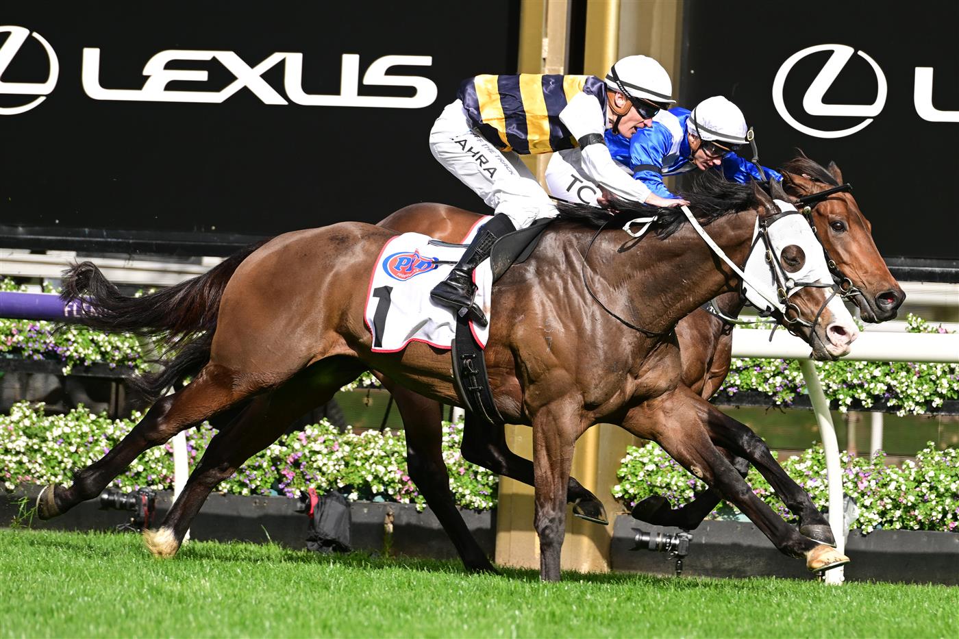 MELBOURNE, AUSTRALIA - SEPTEMBER 10: Mark Zahra riding I