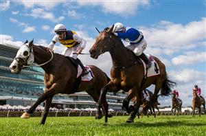 Flemington Highlights - September 10