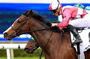 2022 Sir Rupert Clarke Stakes Barrier Draw & Final Field