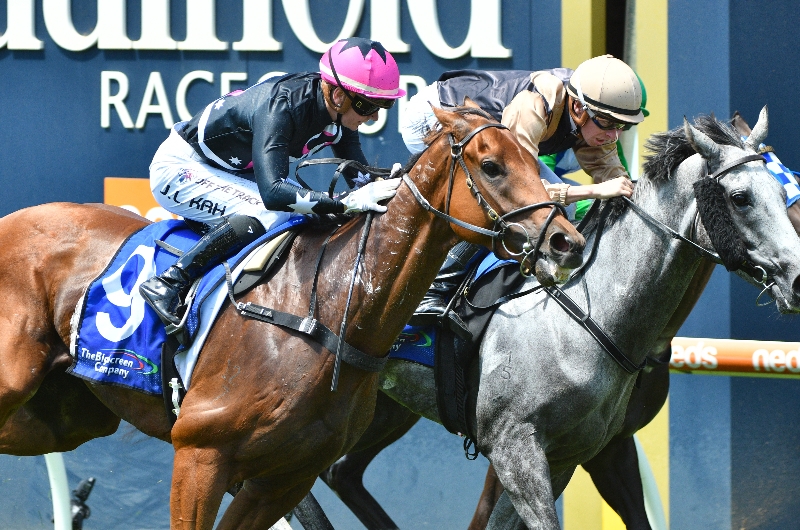 Flemington Racing Tips, Best Bets & Odds Today's Betting Tips for