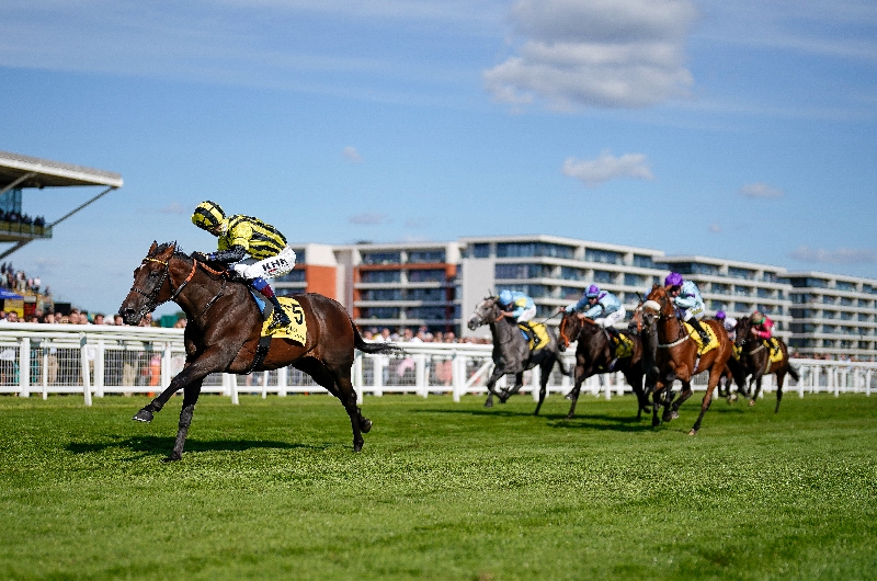 2022 Dewhurst Stakes Odds, Entries and Runners